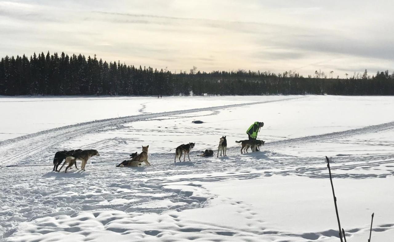Symaskinshuset Jaervsoe Kültér fotó